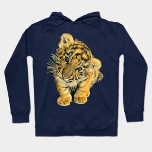 Baby tiger Hoodie